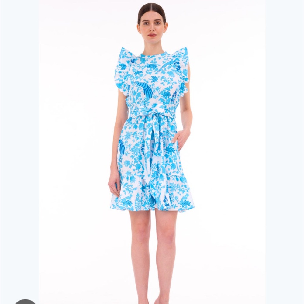 Beautiful SOLD OUT Banjanan Bubul Dress in Hawa Toile Capri Blue NWT L $400 MSRP